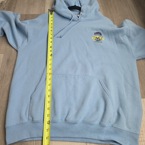 Anita Max Wynn Light Blue Hoodie with Graphic - Picture 6 of 7